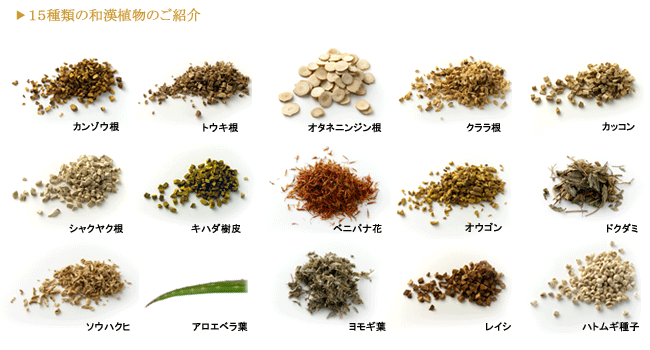 和漢植物の紹介