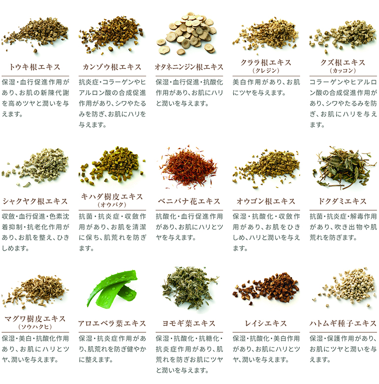 15種類の和漢植物